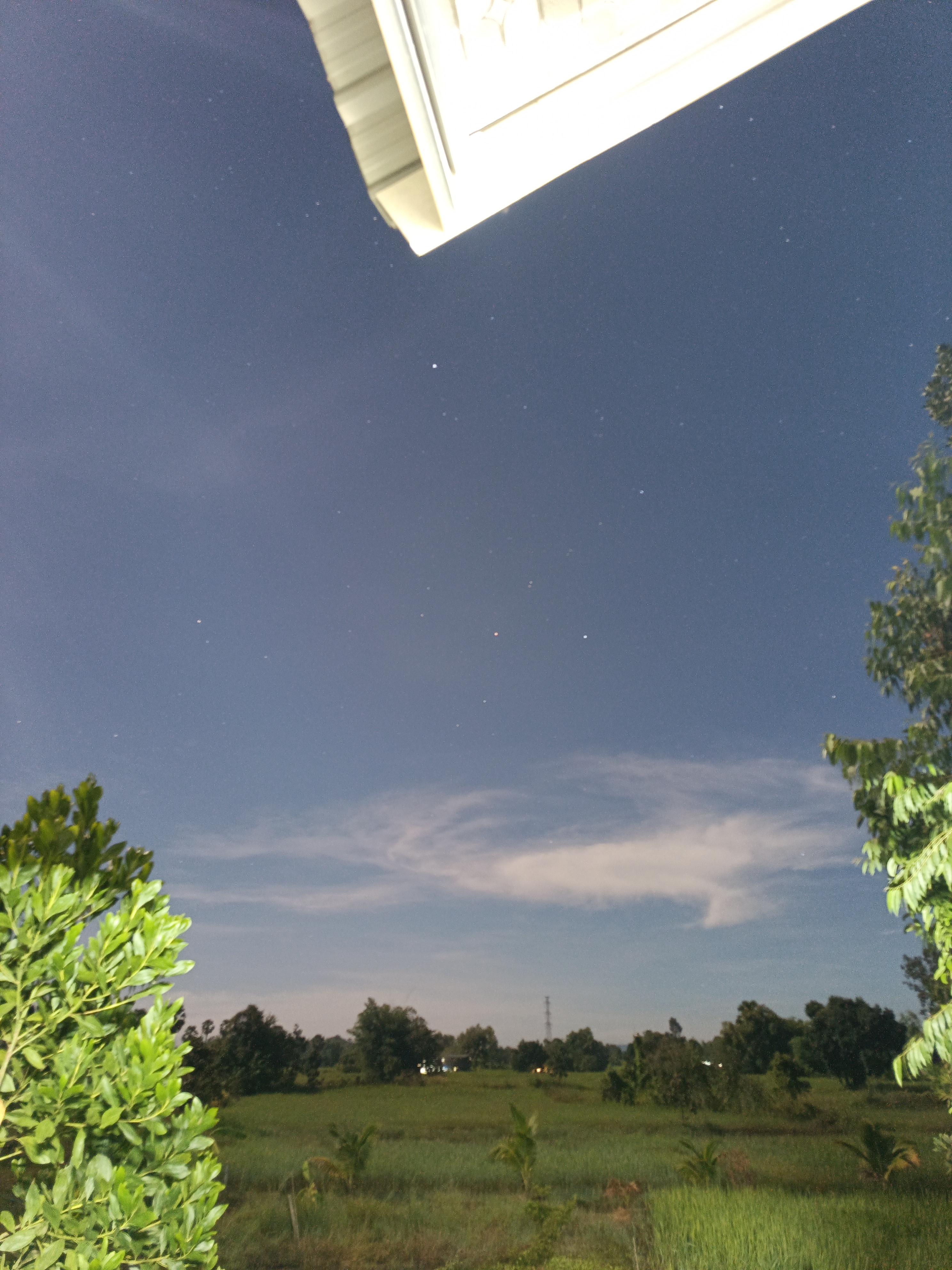 ที่นาของฉันเอง